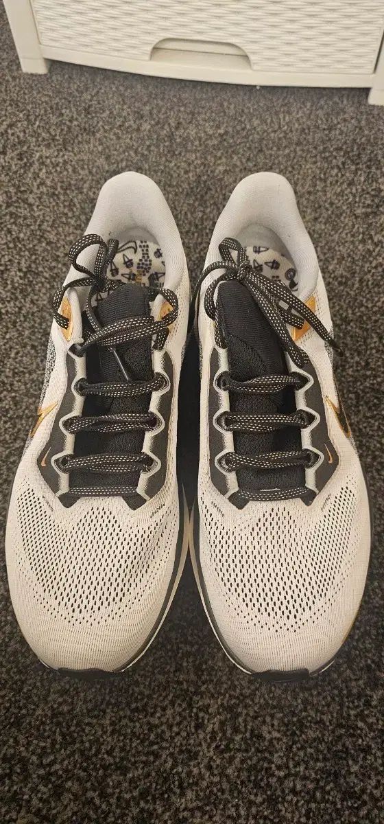 ナイキ エアズーム ペガサス 41 ランニングシューズ 1回 ジム 着用