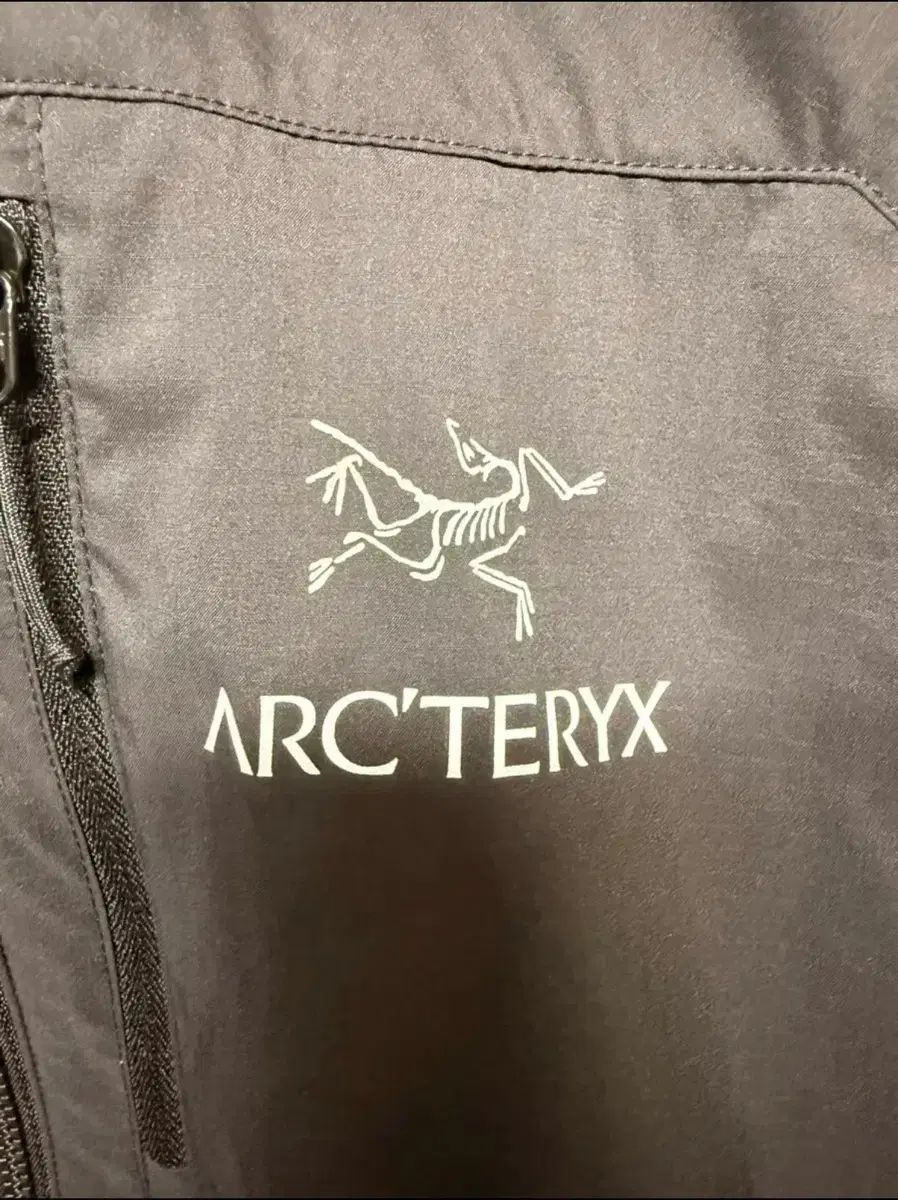 ARC TERYX アークテリクス スコーミッシュ M ブラック
