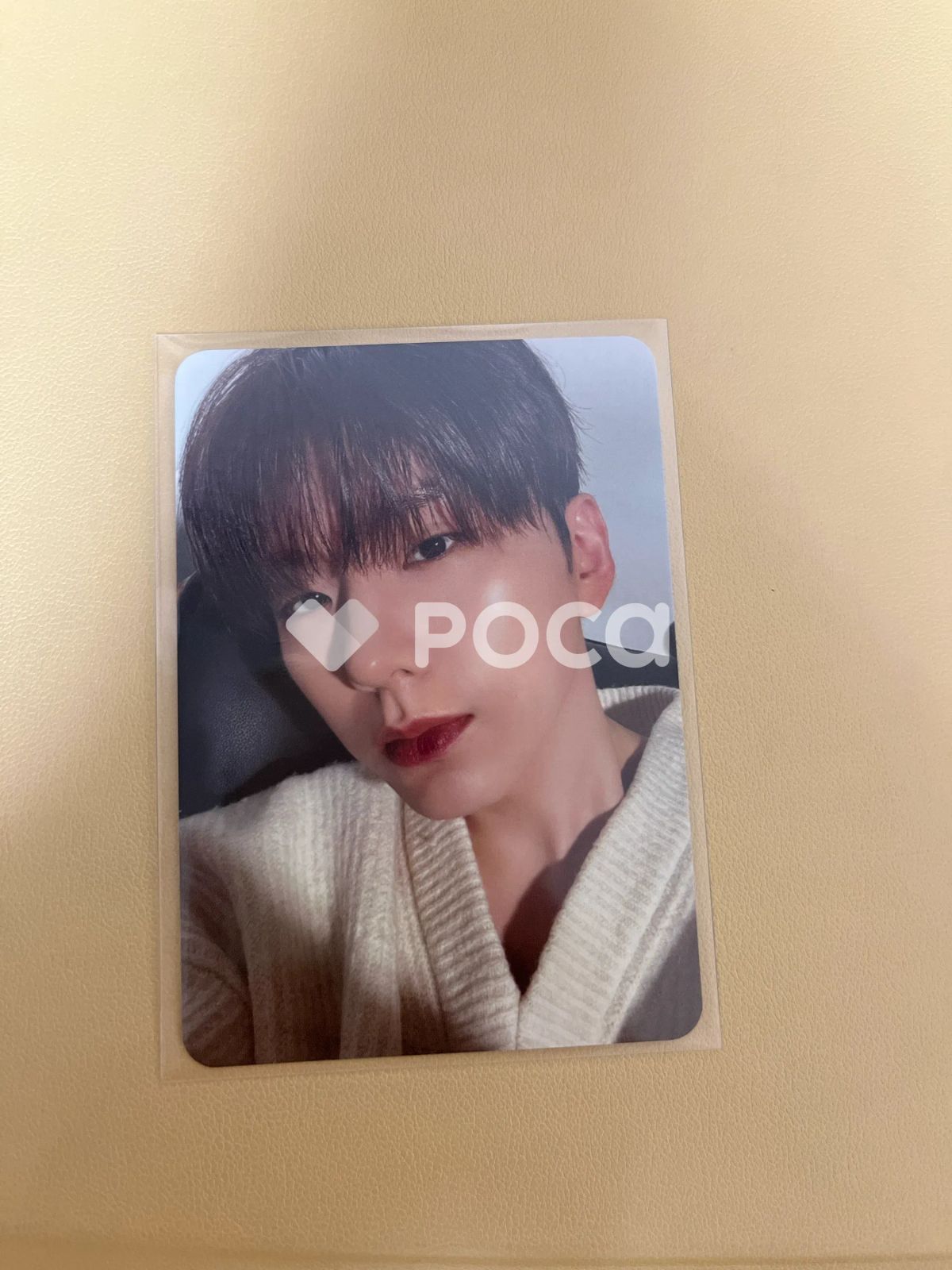 11月を収めた瞬間 - メルカリ