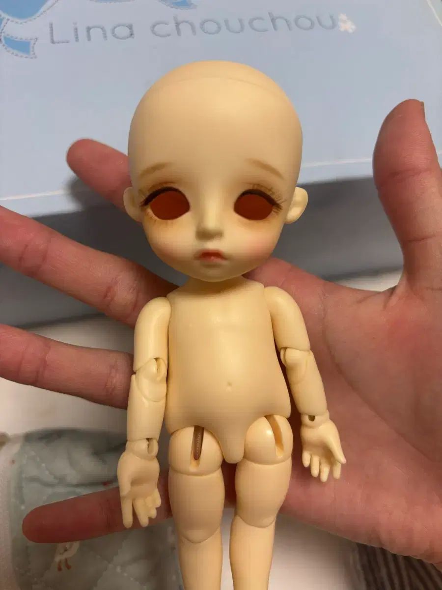 状態良し ラナシュシュ ベイビー デイジー ベ뎅 ベーシック ポケット 旧官