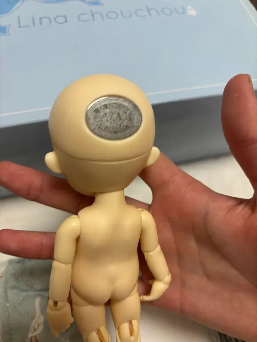  状態良し ラナシュシュ ベイビー デイジー ベ뎅 ベーシック ポケット 旧官 その他 ベビー キッズおもちゃ