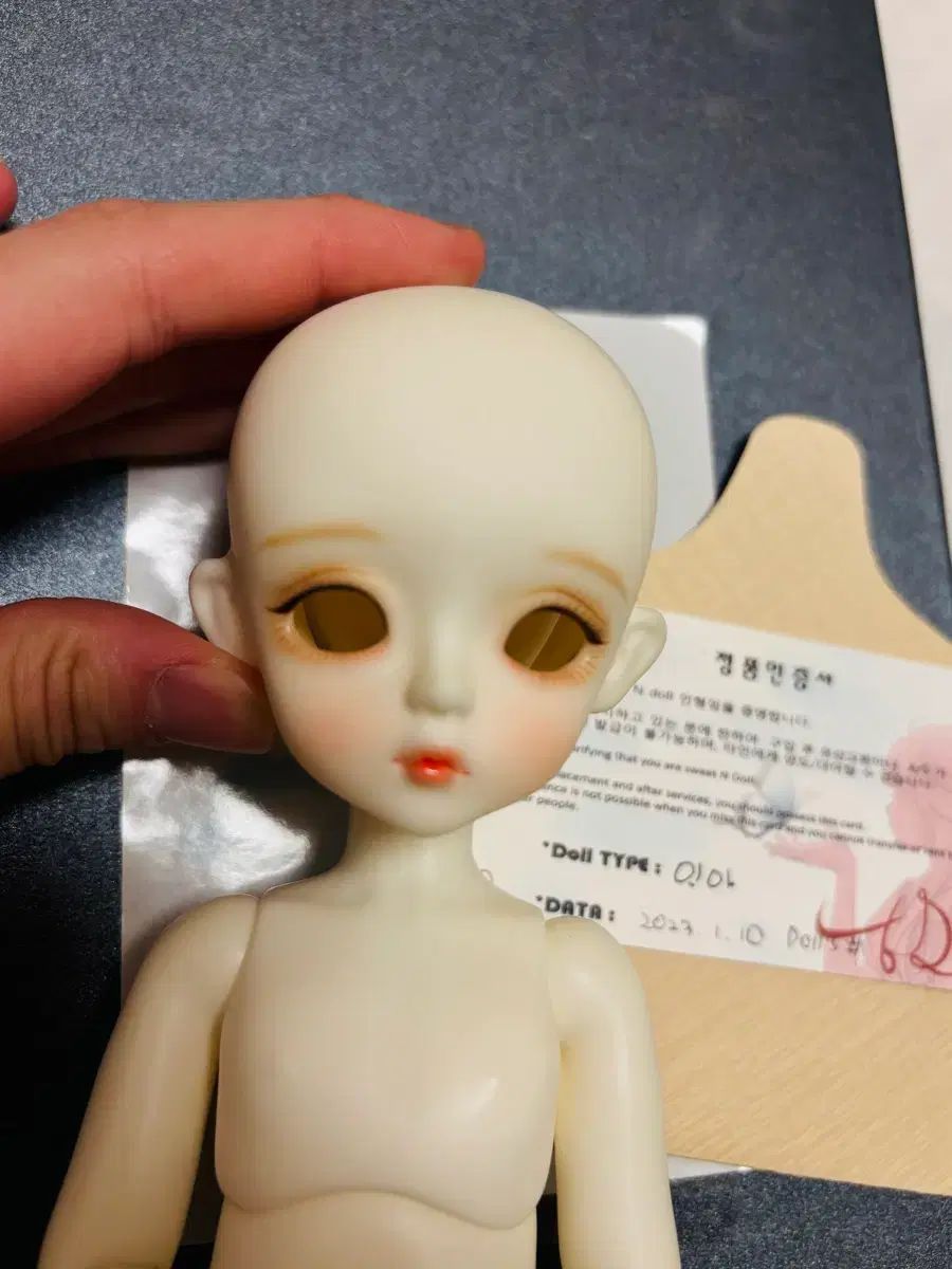 フルセットS級 SWEET - ドール INA 旧官 フルセット