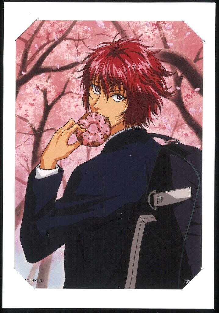 KONAMI テニスの王子様スペシャルブロマイド Part.4[桜-sakura-Version