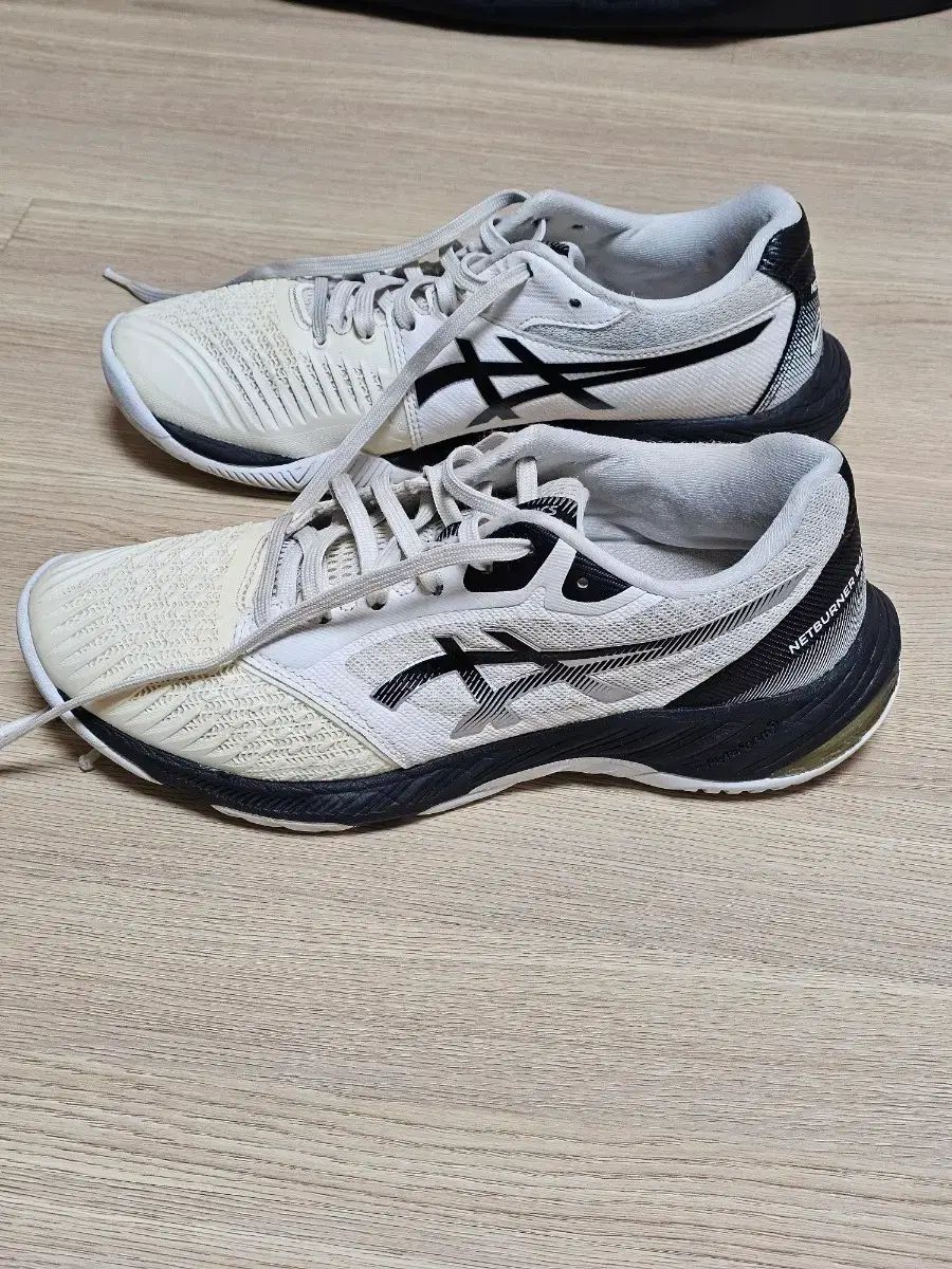 アシックス ネットバーナー バリスティック FF 3 255