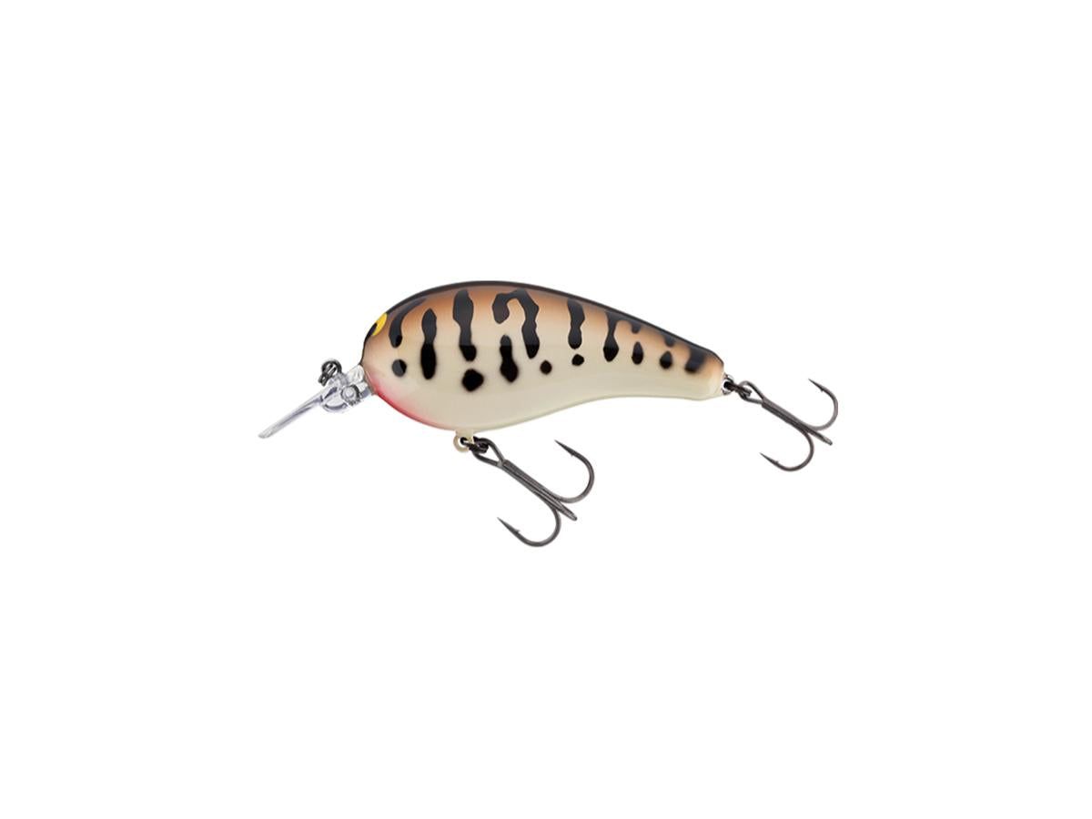 ドメーヌ アツシスズキ Acchi Blanc Cuvée 18 2018 北海道・ドメーヌ