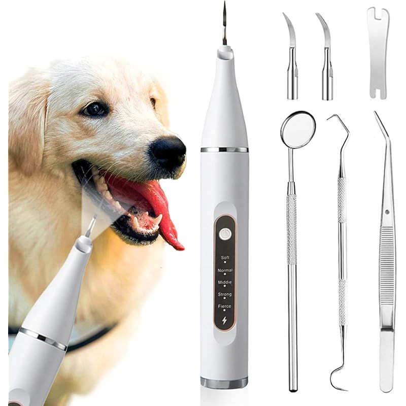 大館秋田天然杉 漆塗風呂用椅子 大