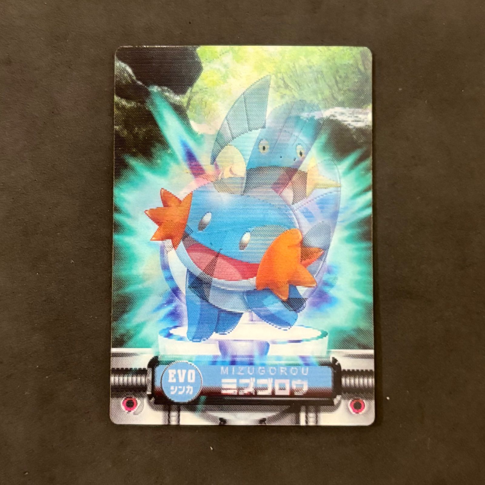 ポケモンずかんカード EVO ミズゴロウ ヌマクロー ラグラージ 1枚