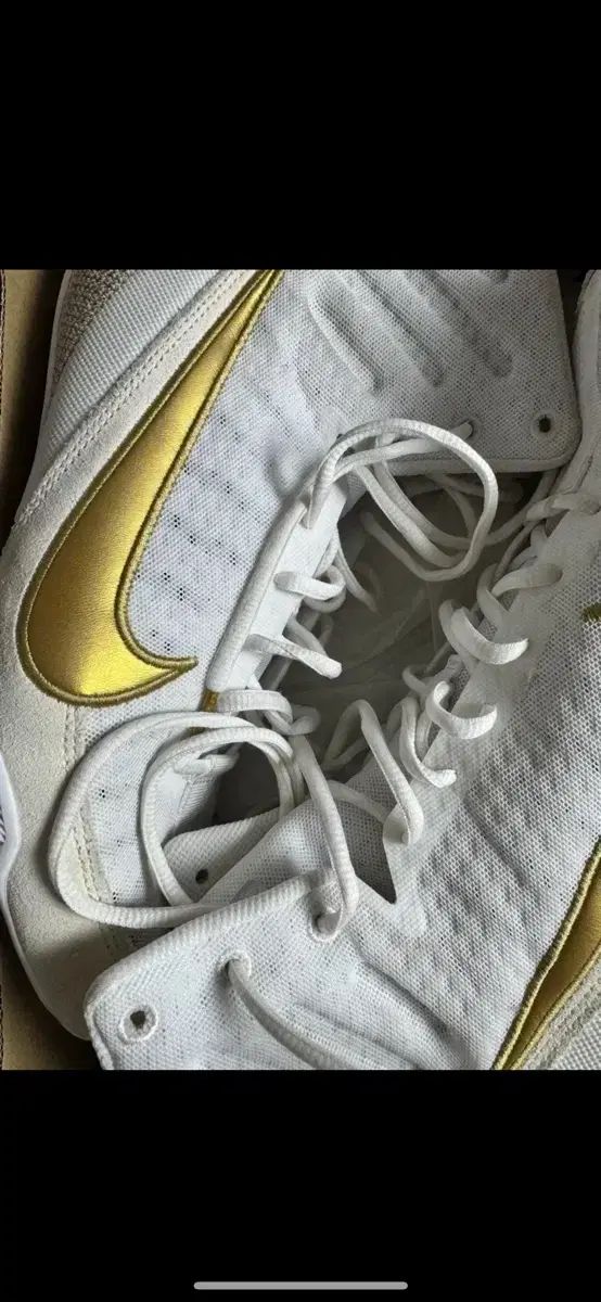 ナイキ マチョマイ 3 ボクシング シューズ