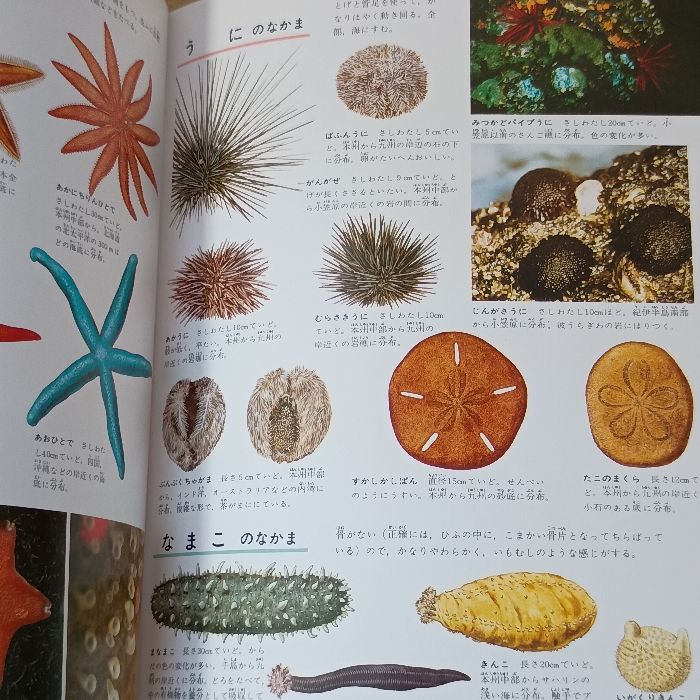 小学館の学習百科図鑑3 魚貝の図鑑 小学館 相賀徹夫 - メルカリ