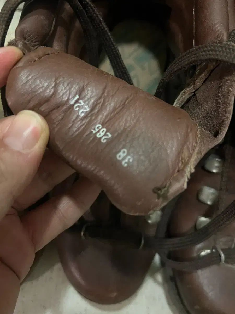 ザンバラン 富士山 WHO 245