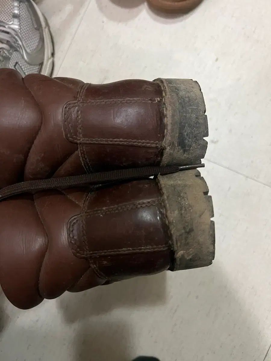 ザンバラン 富士山 WHO 245