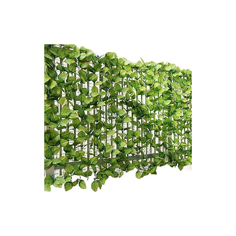 杉苔 スギゴケ 10枚 送料込み 25,000円