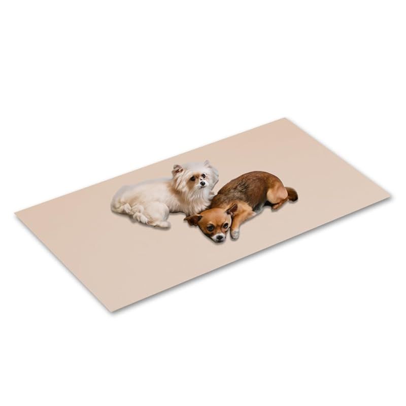 在庫 ottostyle jp 抗菌ペットマット 滑り止めマット 高密度PVC製 110 cm 220 ベージュ 犬 猫 ペット用品 抗菌 防臭 クッション性 衝撃吸収 床保護 傷防止 ノンスリップ加工 敷きパッド 小型犬 シニア犬 ケガ予防 フ