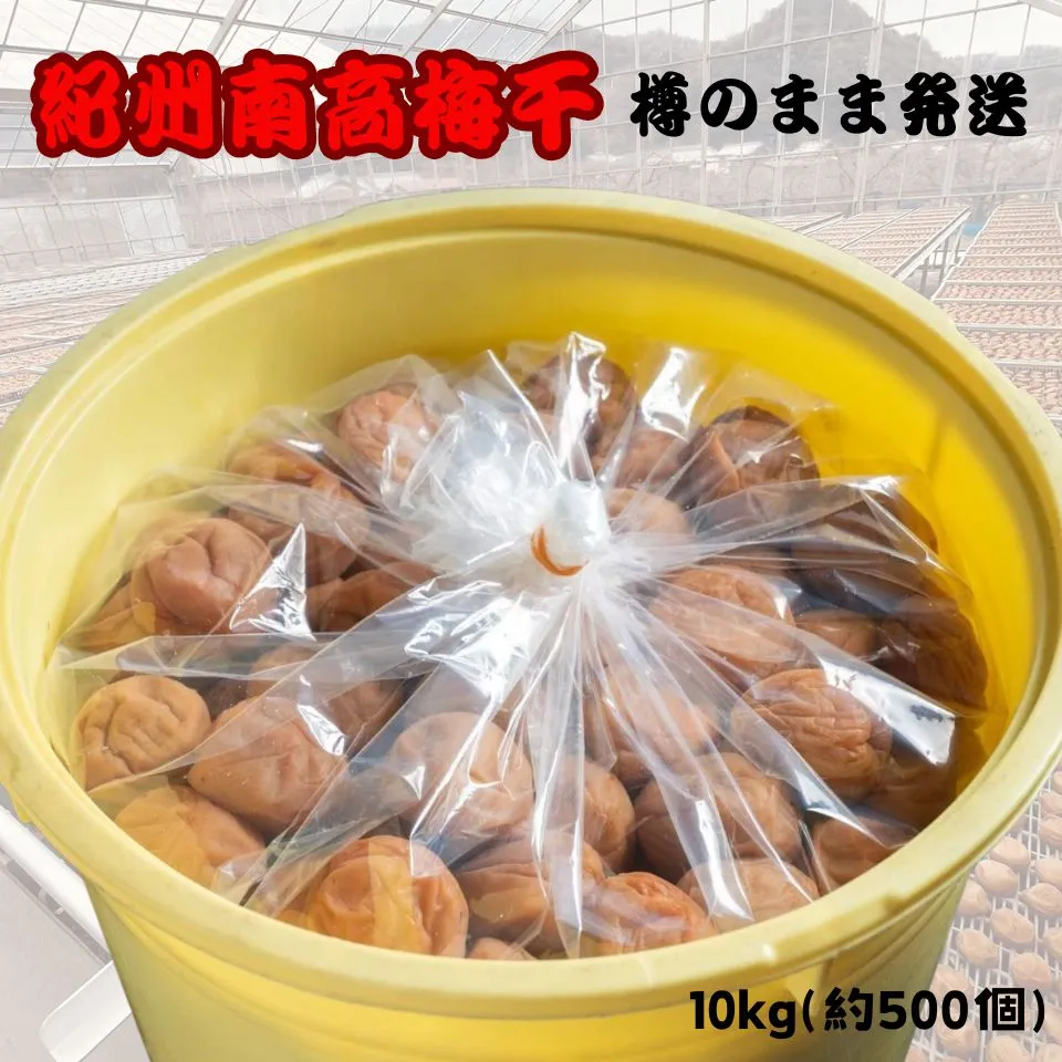 人気爆発！紀州南高梅 樽 10kg つぶれ梅 無添加 和歌山 紀州 白梅 人気爆発！紀州南高梅 樽 10kg つぶれ梅 無添加 和歌山 紀州 白梅