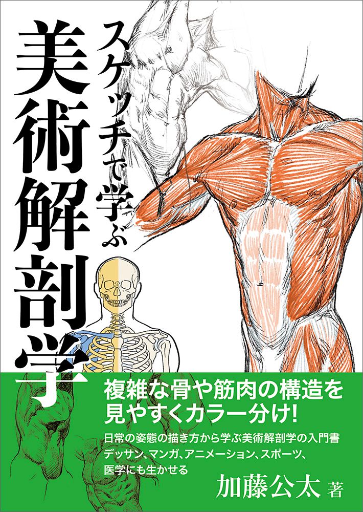 スケッチで学ぶ美術解剖学/玄光社/加藤公太（単行本） - メルカリ