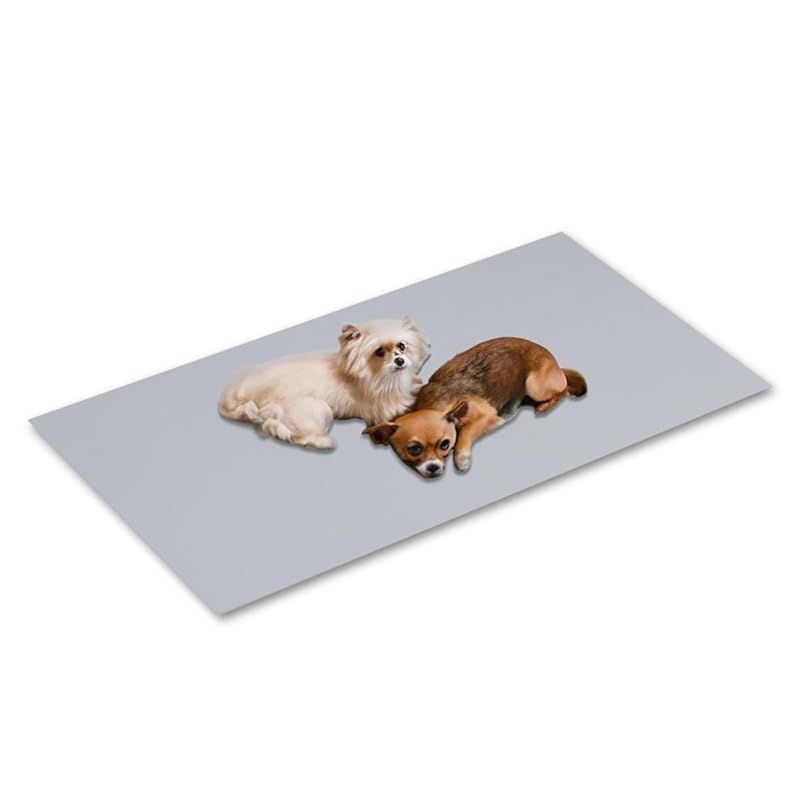 在庫 ottostyle jp 抗菌ペットマット 滑り止めマット 高密度PVC製 110 cm 220 グレー 犬 猫 ペット用品 抗菌 防臭 クッション性 衝撃吸収 床保護 傷防止 ノンスリップ加工 敷きパッド 小型犬 シニア犬 ケガ予防 フッ