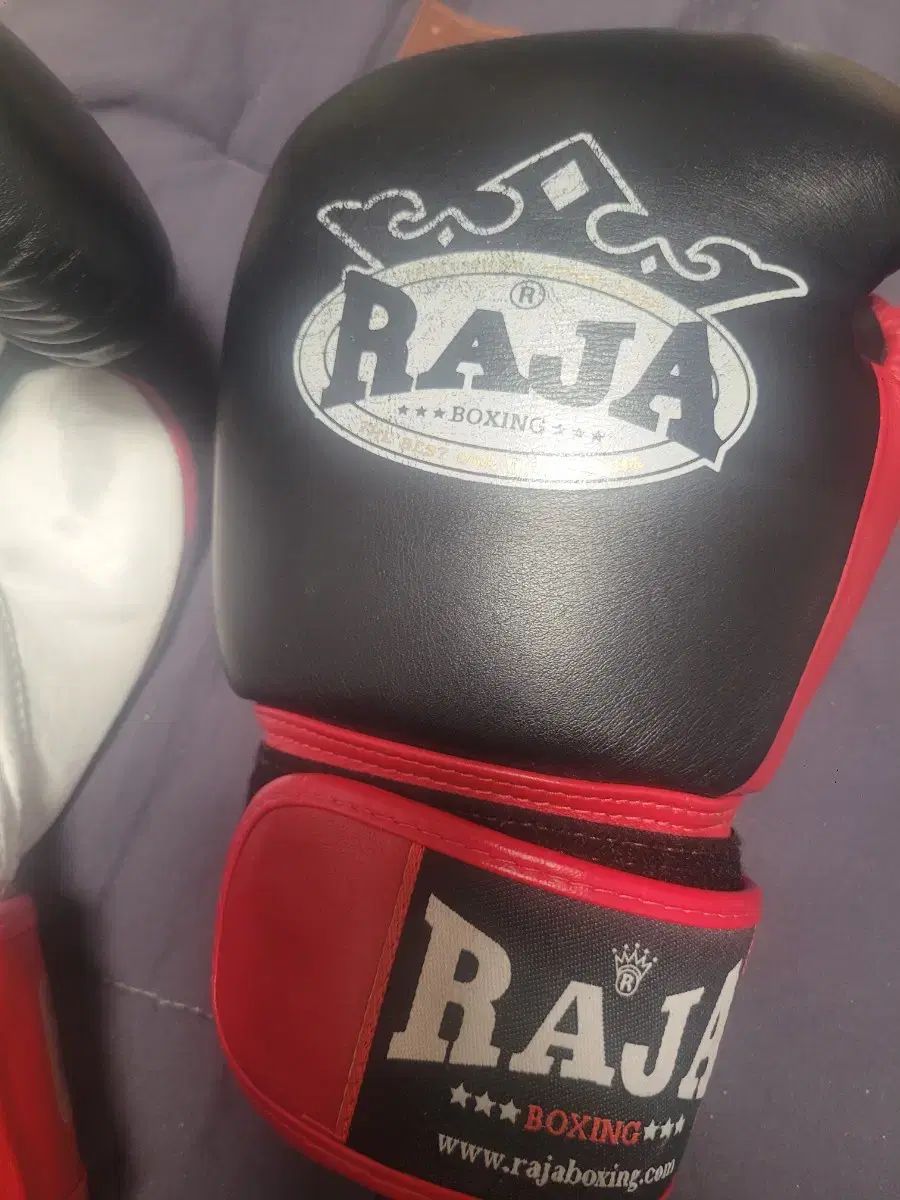 ラジャ 8オンス ファイティング 12オンス ボクシング グローブ ブラック