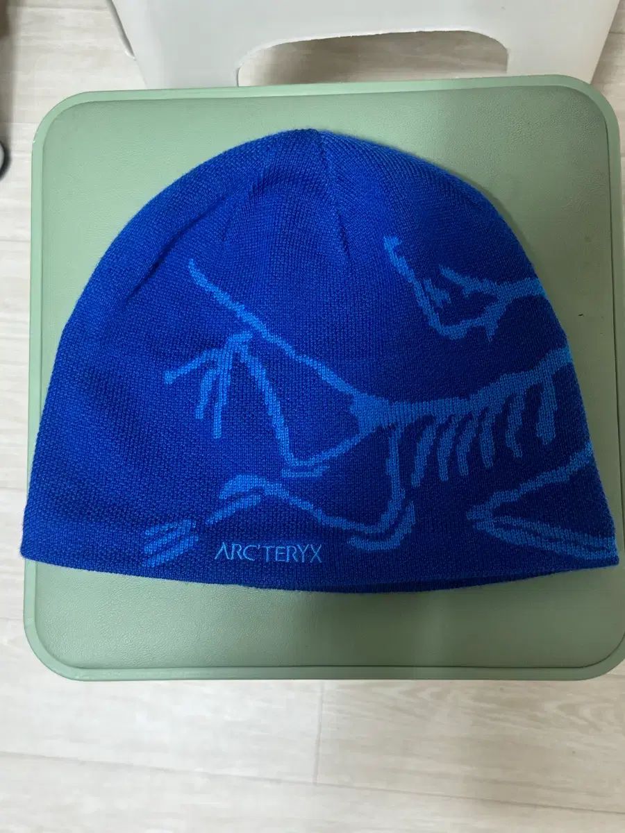 ARC TERYX アークテリクス BIRD バード ヘットトーク ビニー ブルー