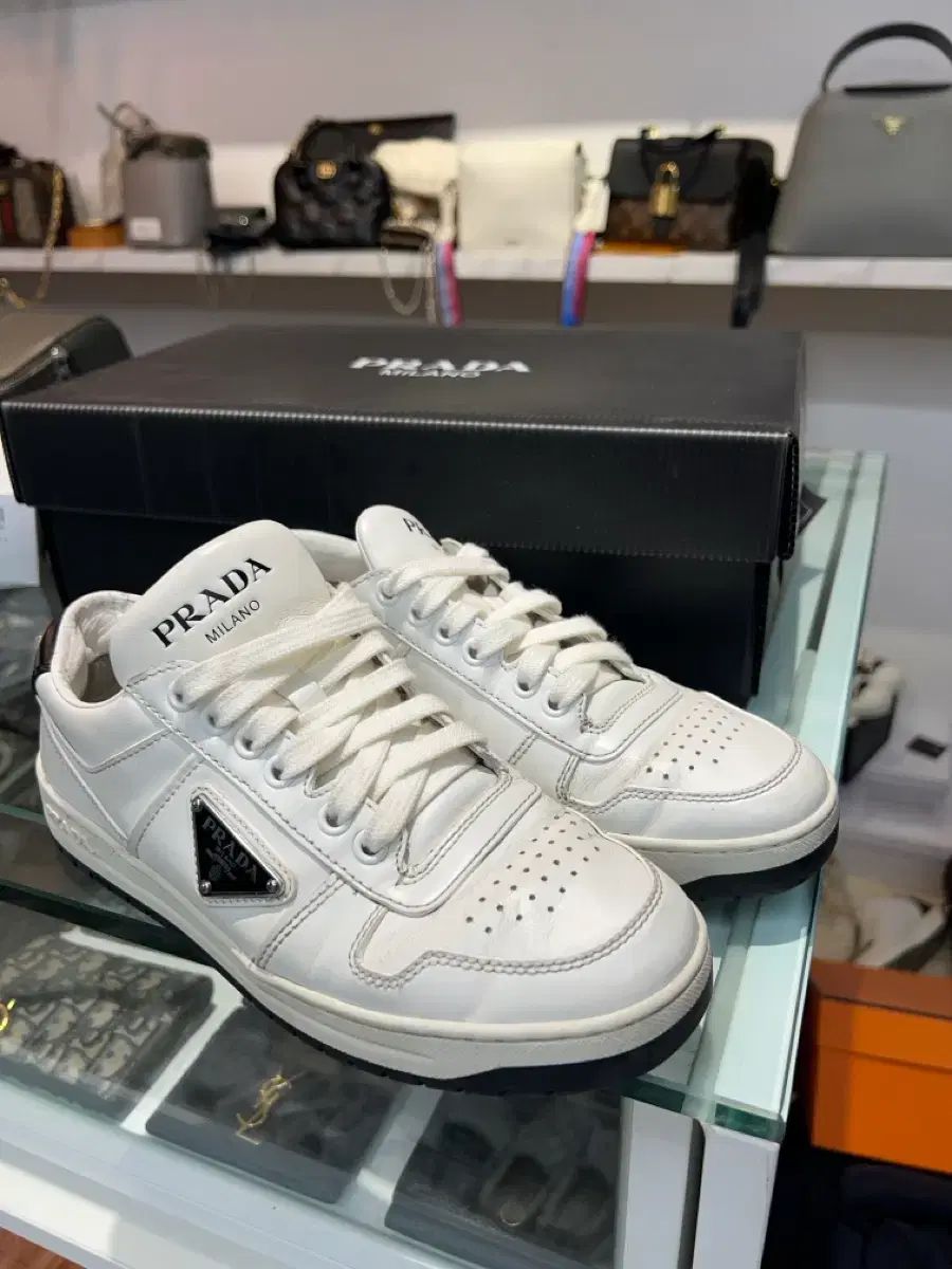 36) PRADA プラダ ダウンタウン 三角ロゴ スニーカー 白 レディース