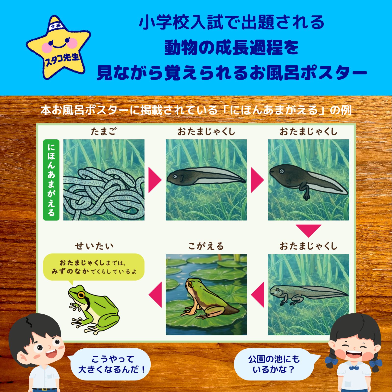 小学校受験 お風呂ポスター 季節 野菜 果物 理科的常識 【公式通販】