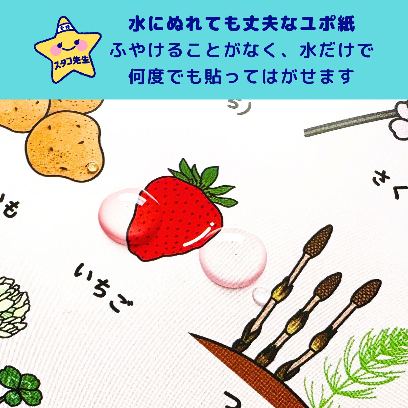 理科 水 ポスター 簡単 本 小学校受験 お風呂ポスター 季節 動物 野菜