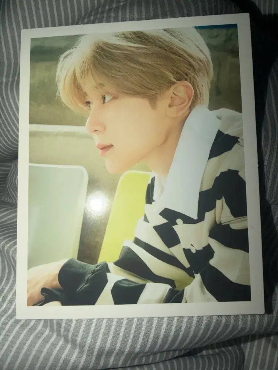 シオンウィンドアンドウィッシュタートルネックチェキ ポラロイド