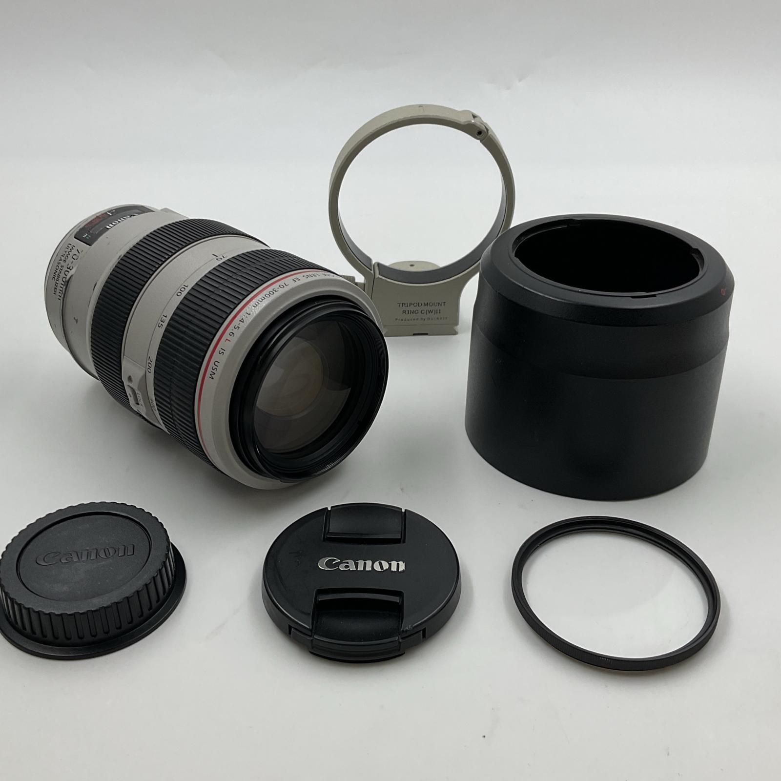 Canon EF 70-300 mm F 4-5.6 L IS USM