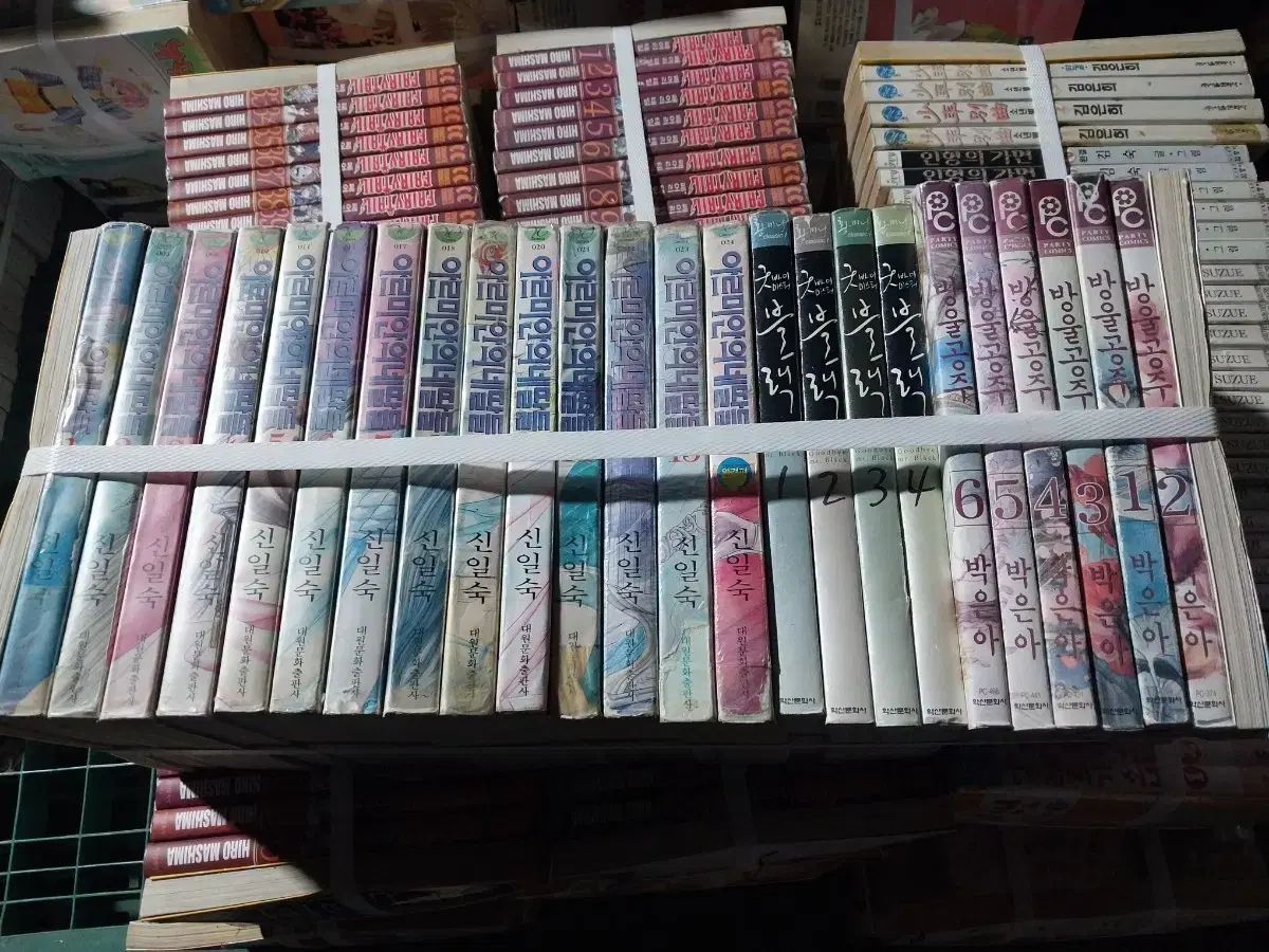 アルミアの娘たち 1-14 シン イルスン 実物画像あり IN