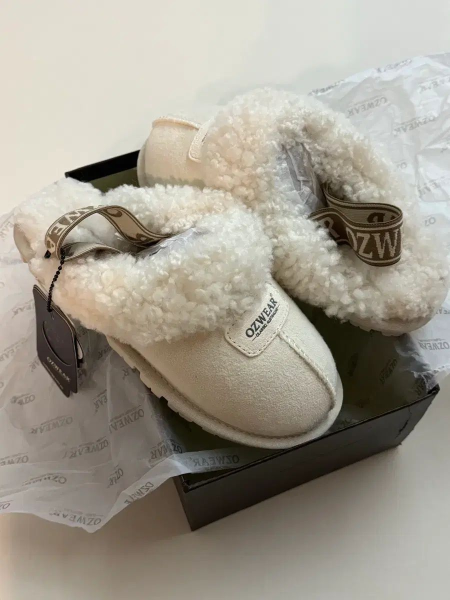 オッズウェア アグ キッズ コケット バンドスリッパ 210 2 3