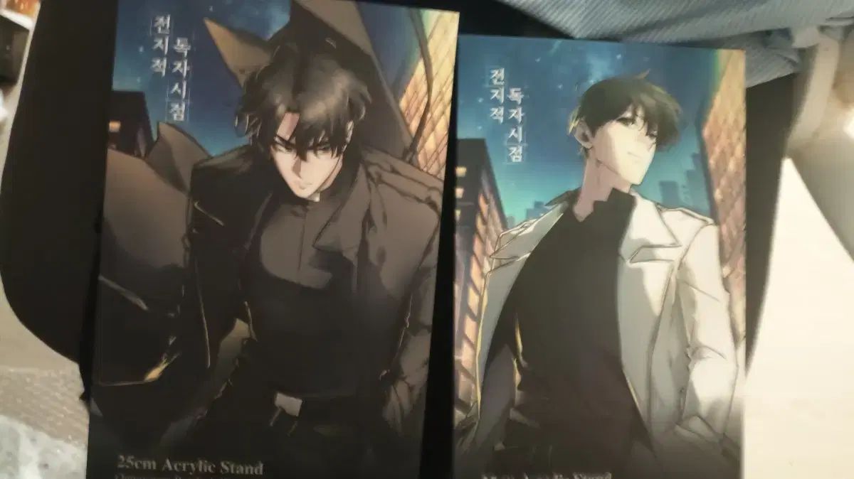 全知的な読者の視点から 25 cm アークス