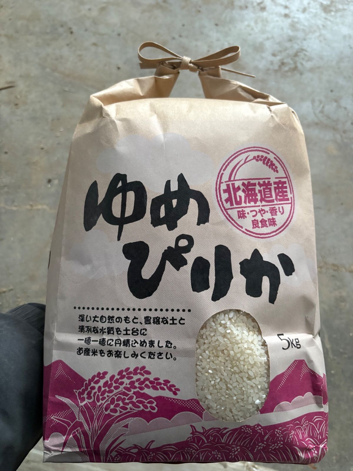 複製画　清水港から見たトンネル　山下　清 複製画 清水港から見たトンネル 山下 清 【公式通販】