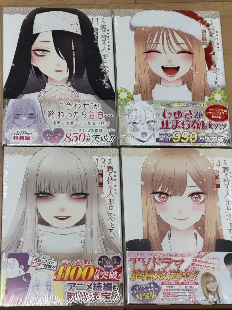 そのビスクドールは愛をする願書 モデル 11-14