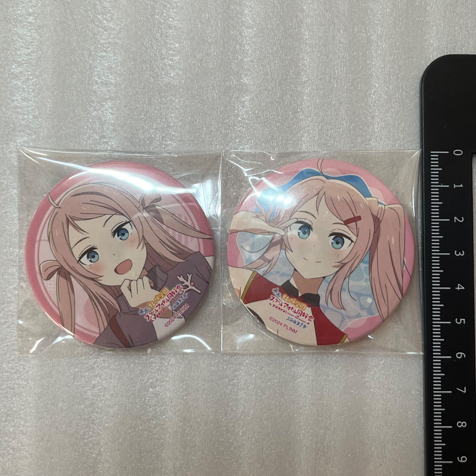 ラブライブ！虹ヶ咲学園スクールアイドル同好会 完結編 缶バッジ 水着