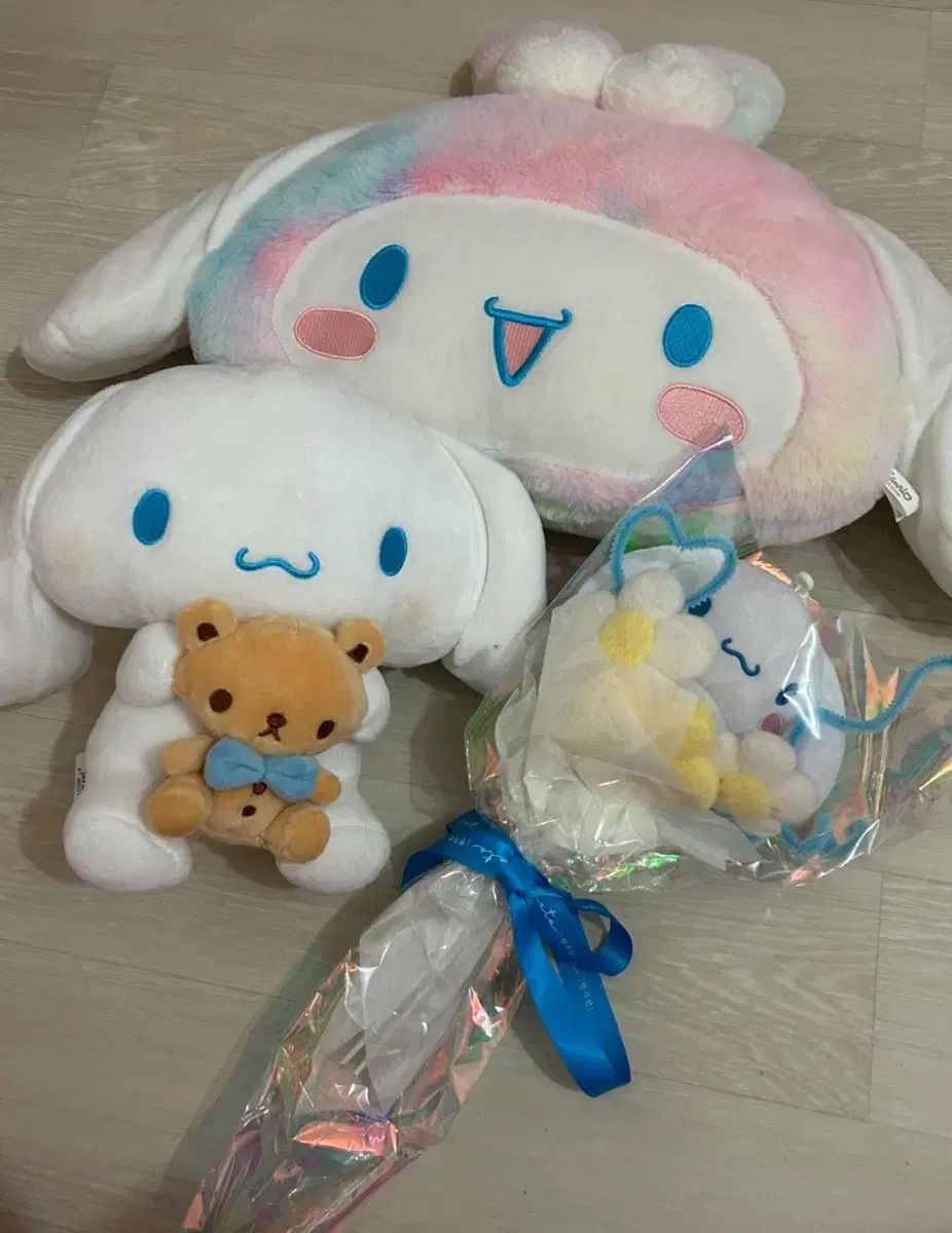 アウトレット じ*も様 【AL1098】ユッカ ロストラータ 美形 ホワイト個体