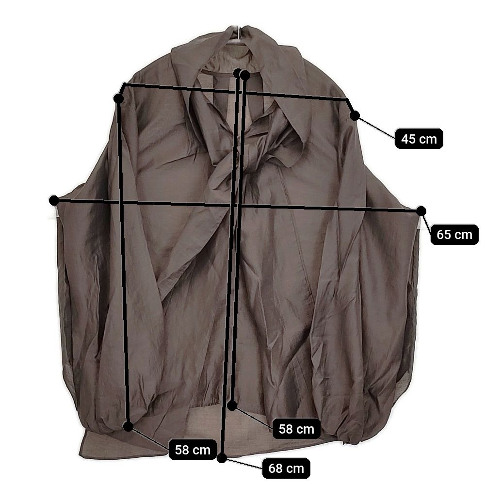 JOURNAL STANDARD L'essage シアーボウタイブラウス 定価18700円 25AW