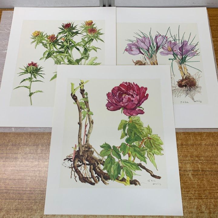 △01)【1点限り!】小磯良平画 薬用植物画譜三葉/武田薬品工業/ぼたん