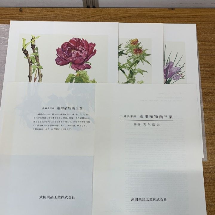 △01)【1点限り!】小磯良平画 薬用植物画譜三葉/武田薬品工業/ぼたん