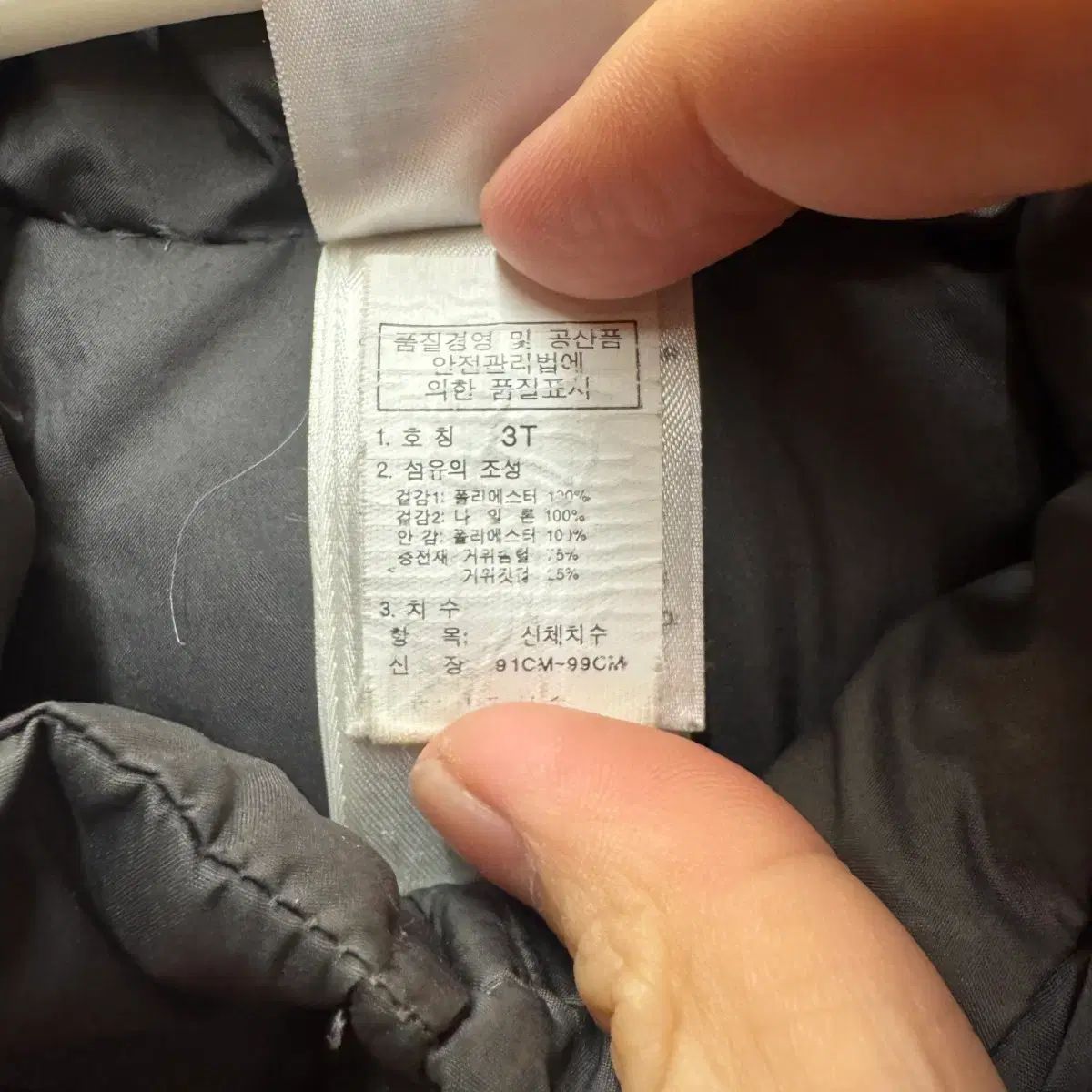  THE NORTH FACE ザ ノース フェイス グースダウン 3 T その他 ジャケット ブルゾン