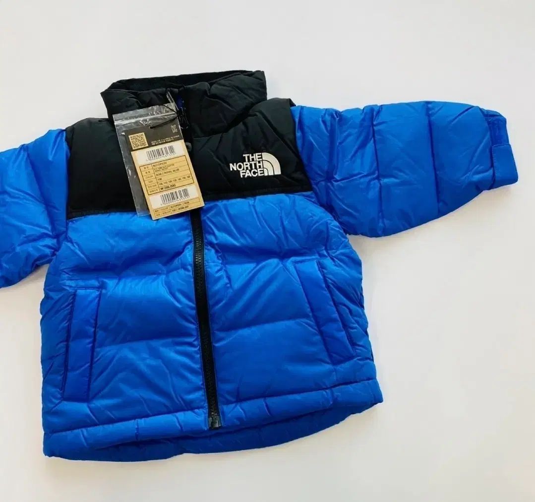 THE NORTH FACE ザノースフェイス キッズ 1996 Ecco Nuptse ヌプシ グースダウン ジャケット