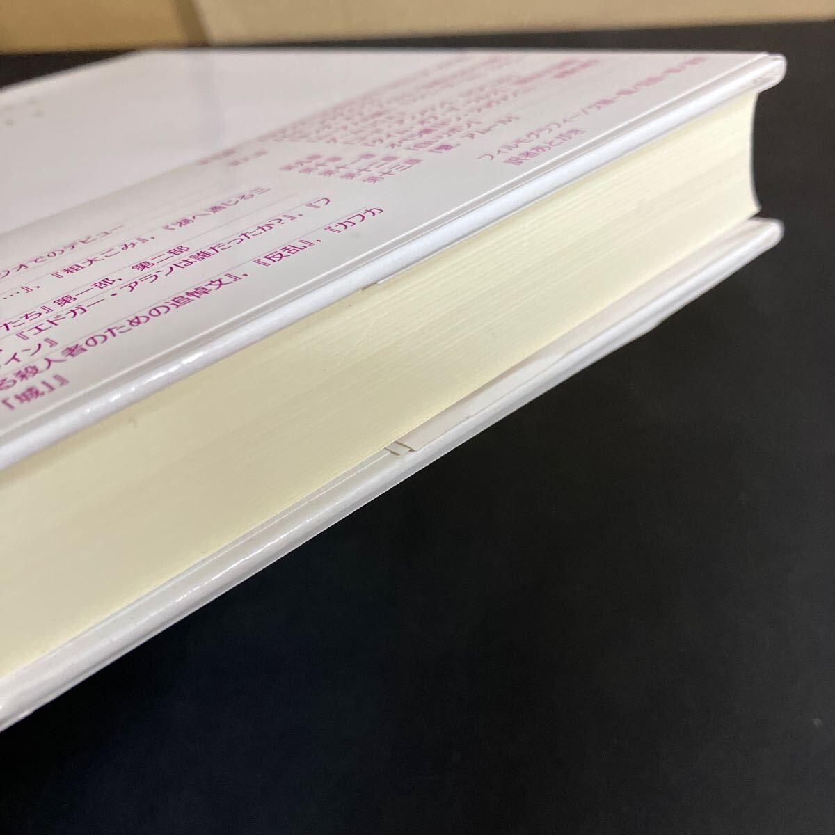 ミヒャエル・ハネケの映画術 彼自身によるハネケ 』ミヒャエル・ハネケ