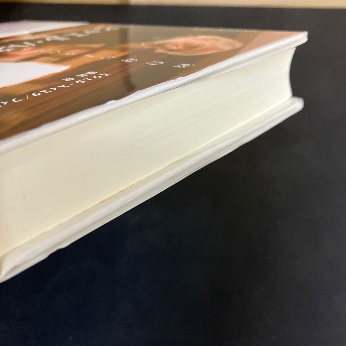 ミヒャエル・ハネケの映画術 彼自身によるハネケ 』ミヒャエル・ハネケ