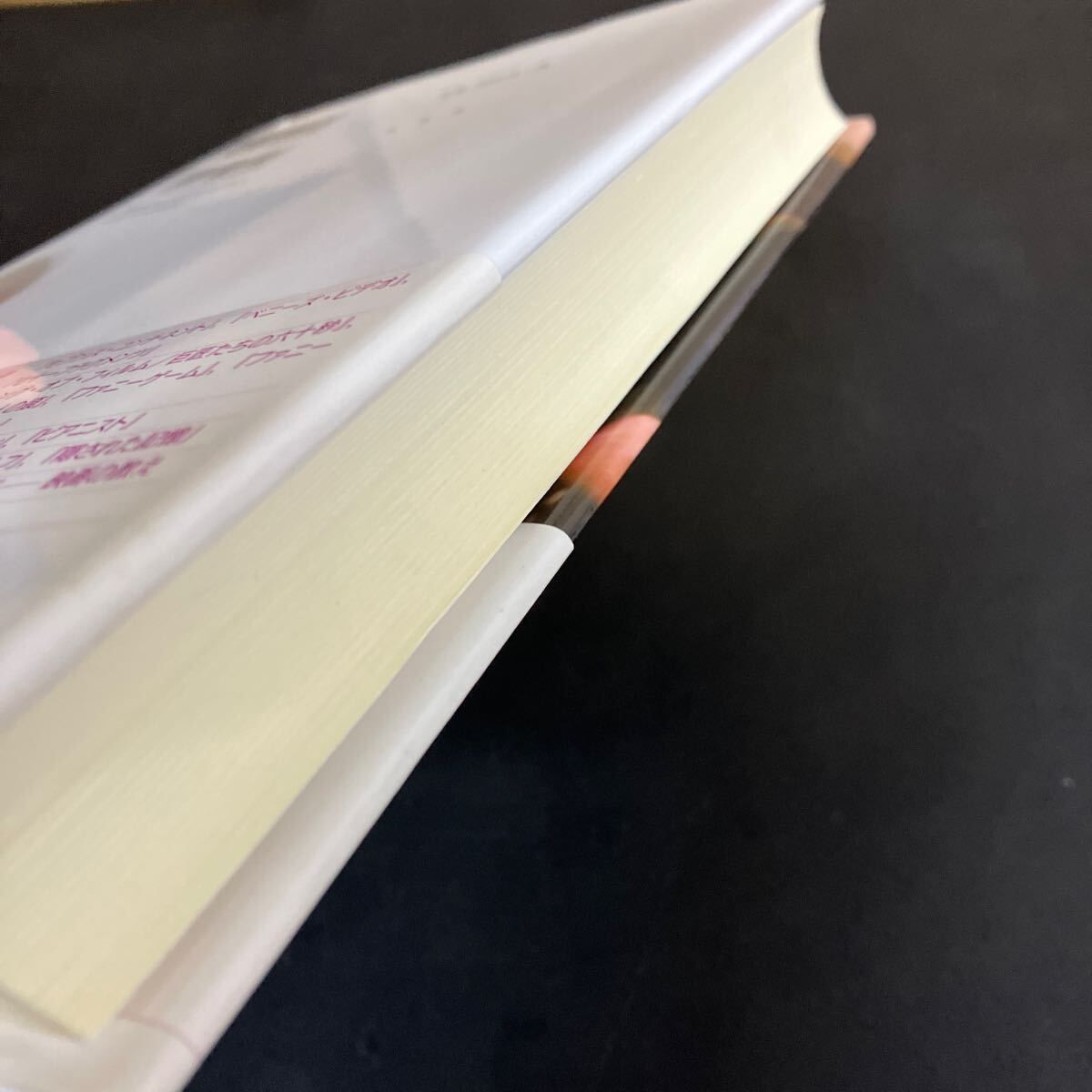 ミヒャエル・ハネケの映画術 彼自身によるハネケ 』ミヒャエル・ハネケ