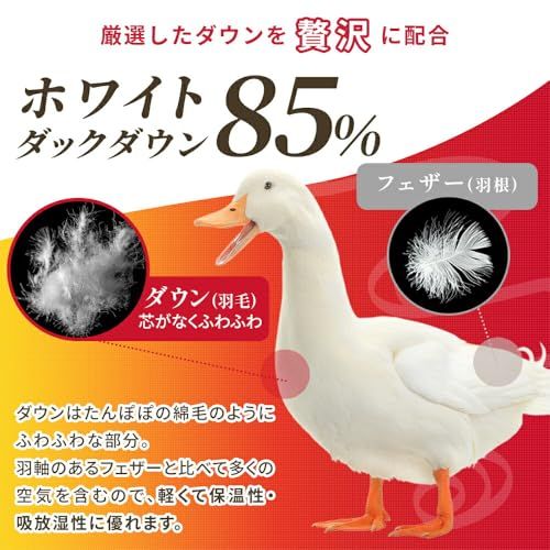  羽毛布団 シングル 冬 ニューゴールドラベル付 ホワイトダックダウン85 シングルロング 約 0.6 kg ブルー 羽毛掛け布団 ダウンパワー330 dp ダウン85％ 立体キルト 軽量 掛け布団 オールシーズン e 056747 a その他 キッチン 食器