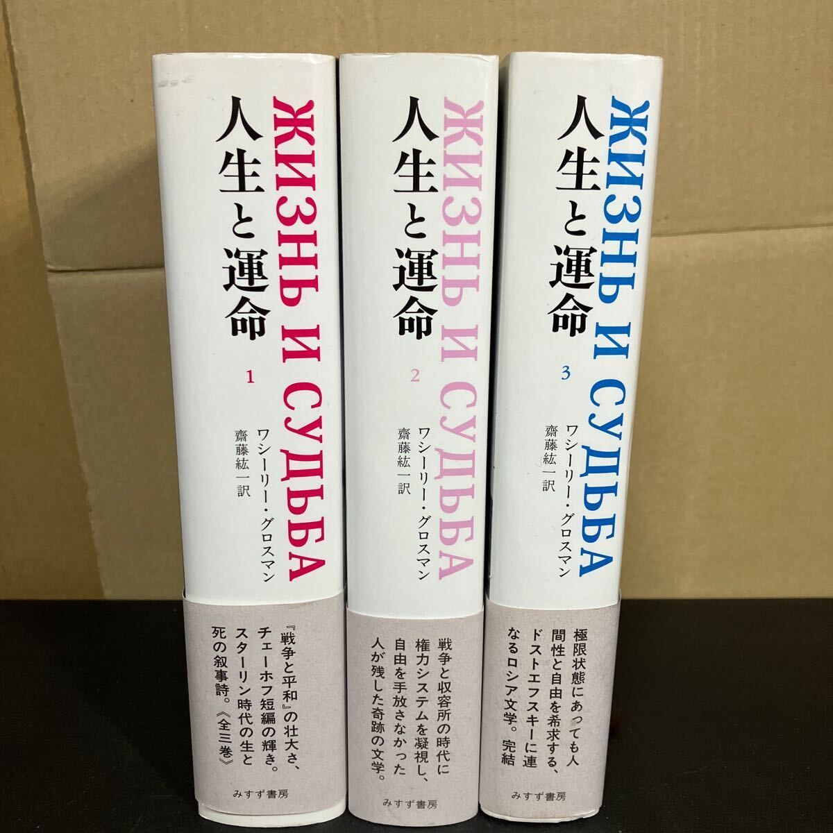 人生と運命 1-3 ワシーリー グロスマン ３巻セット みすず書房 2012年