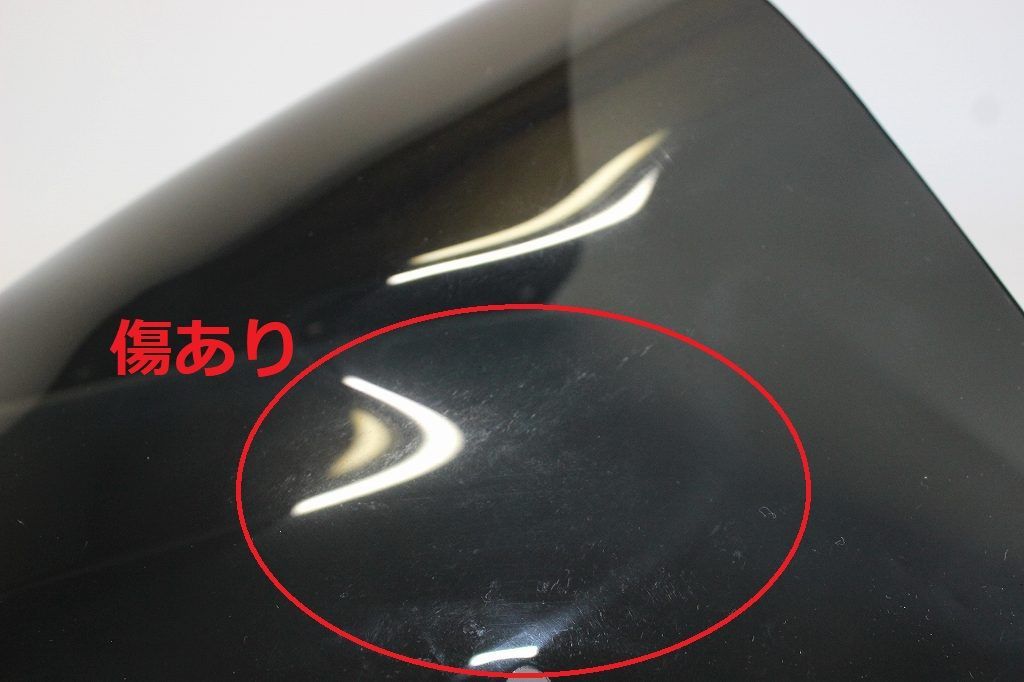 ビキニカウルカーボン 汎用