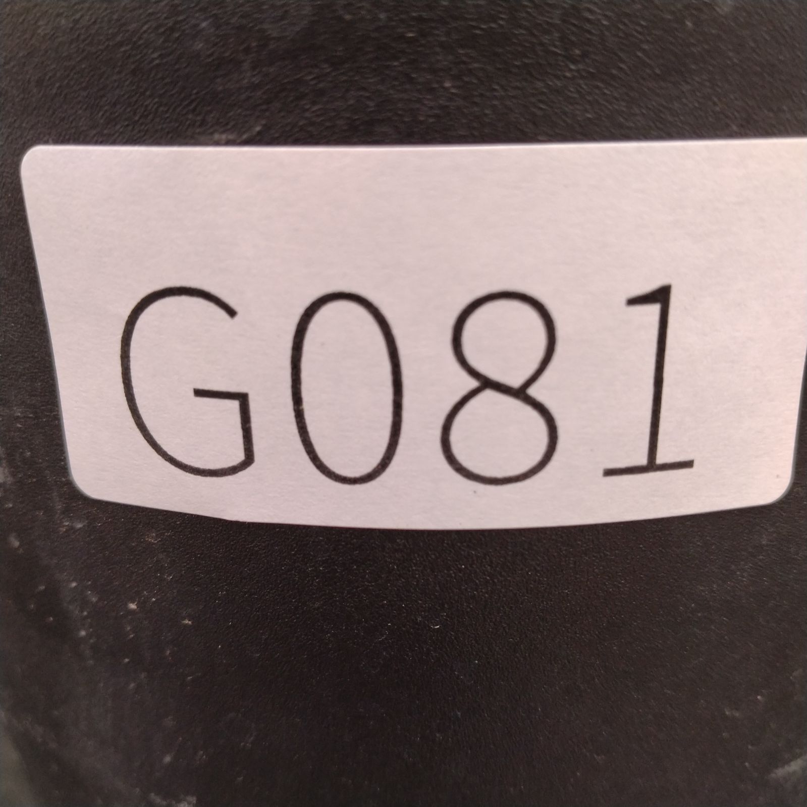 G081【自社養生株】メストクレマ（現地球・発根株・鉢植え）【塊根植物