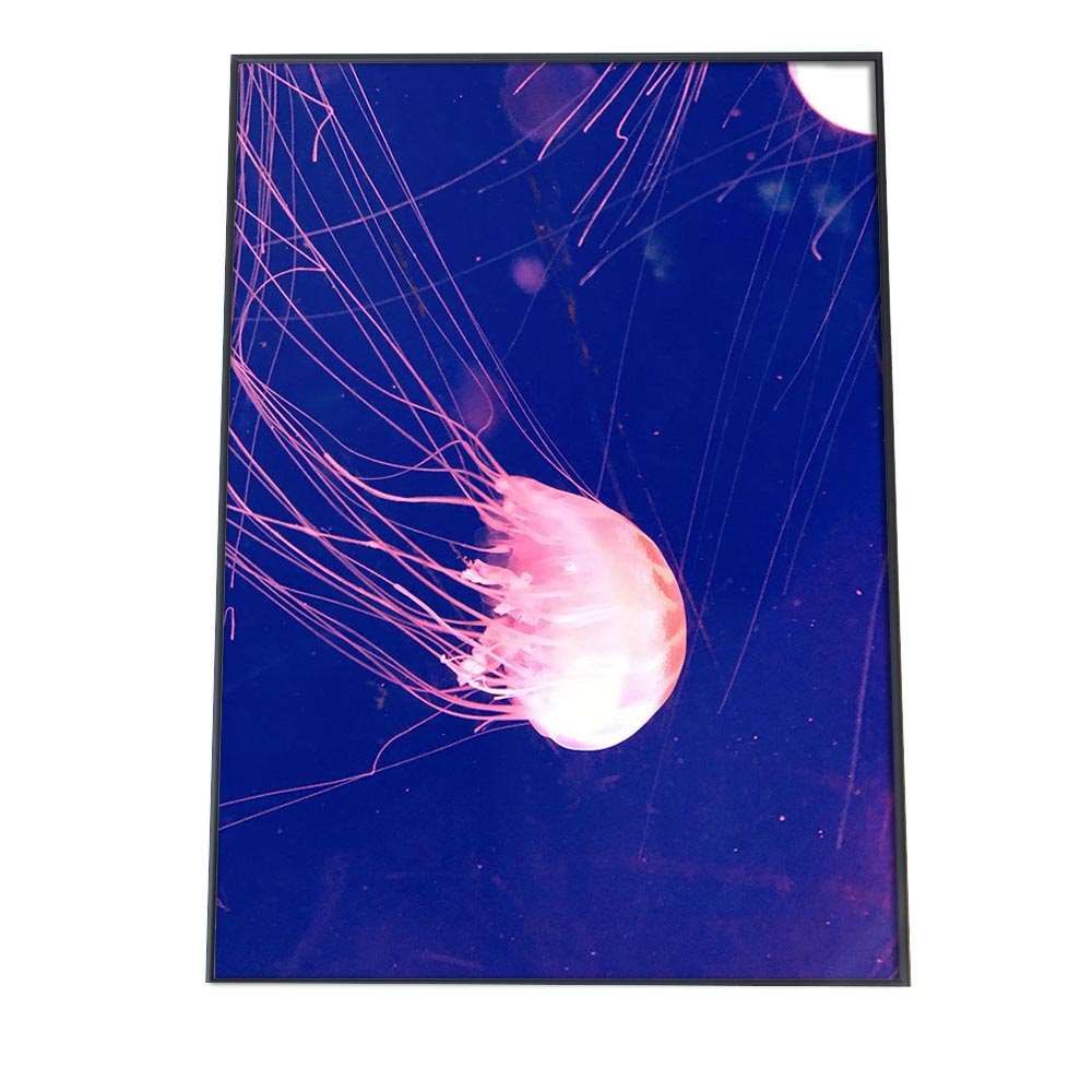 B4サイズ（約25x36cm）】【an-poster-675】クラゲ くらげ ジェリー