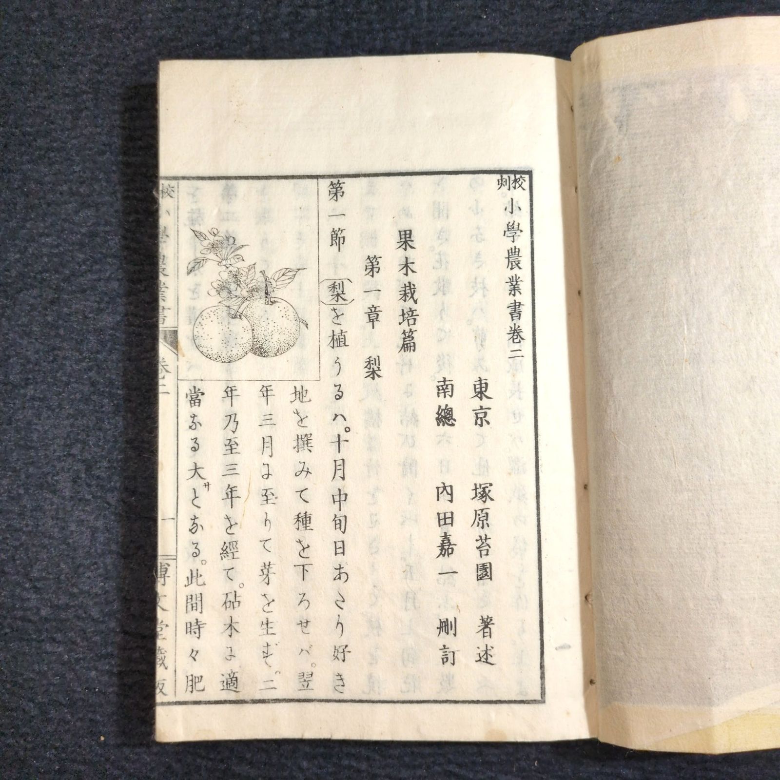 絵入◇小学 農業書◇農学 果木 作物 穀物 家畜 教科書 明治時代物