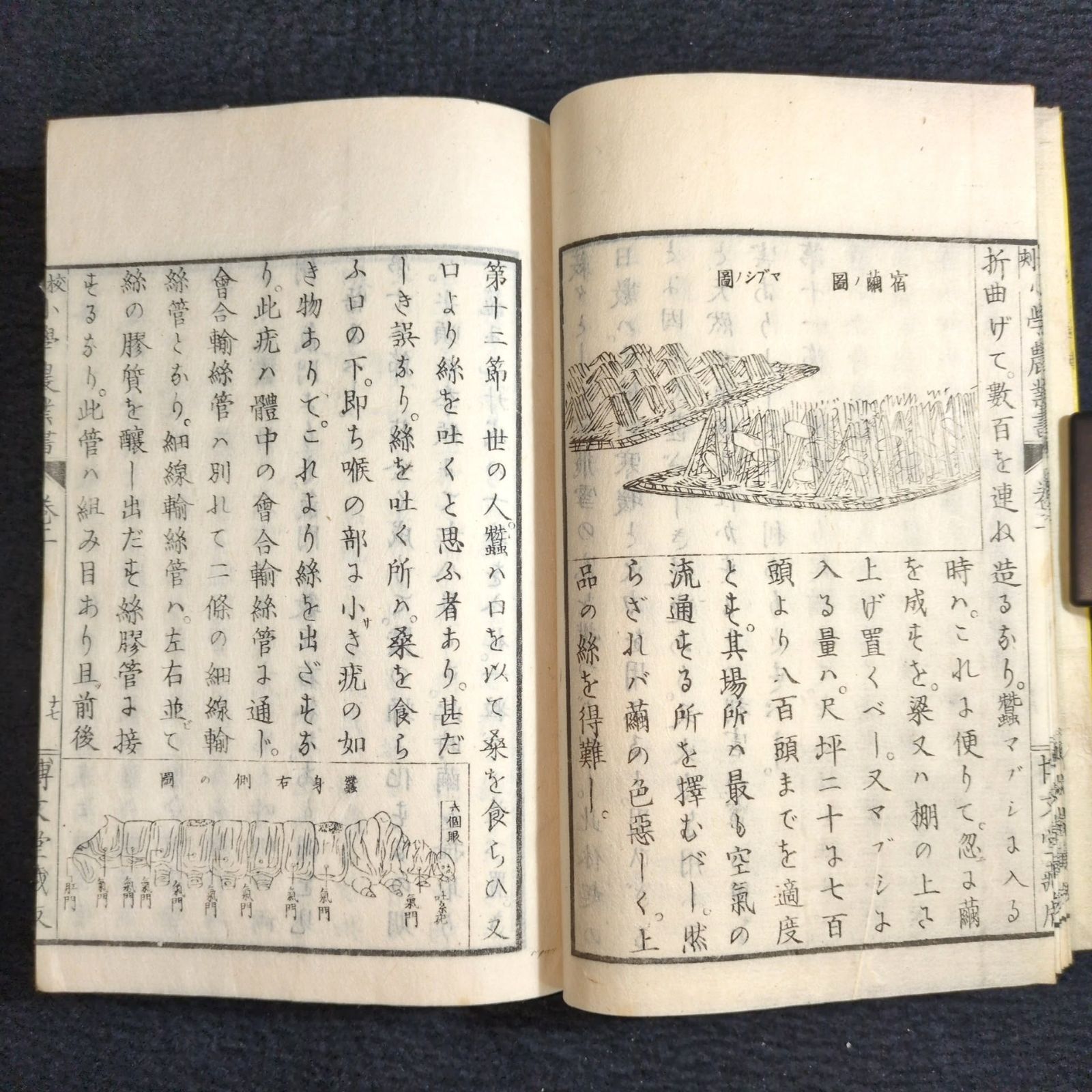 絵入◇小学 農業書◇農学 果木 作物 穀物 家畜 教科書 明治時代物
