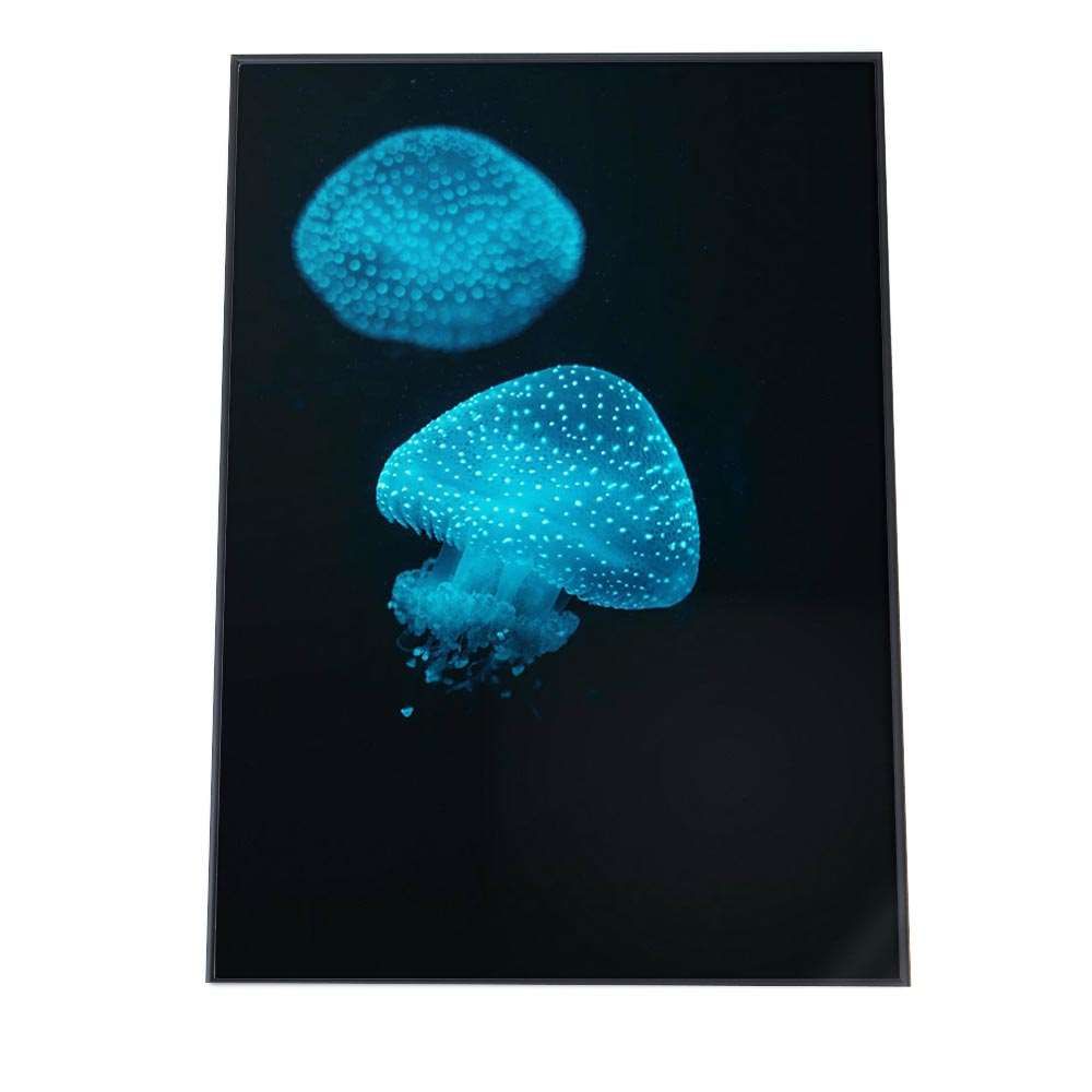 クラゲアート 0_c5ab1413d5a714654a8e77d5796d
